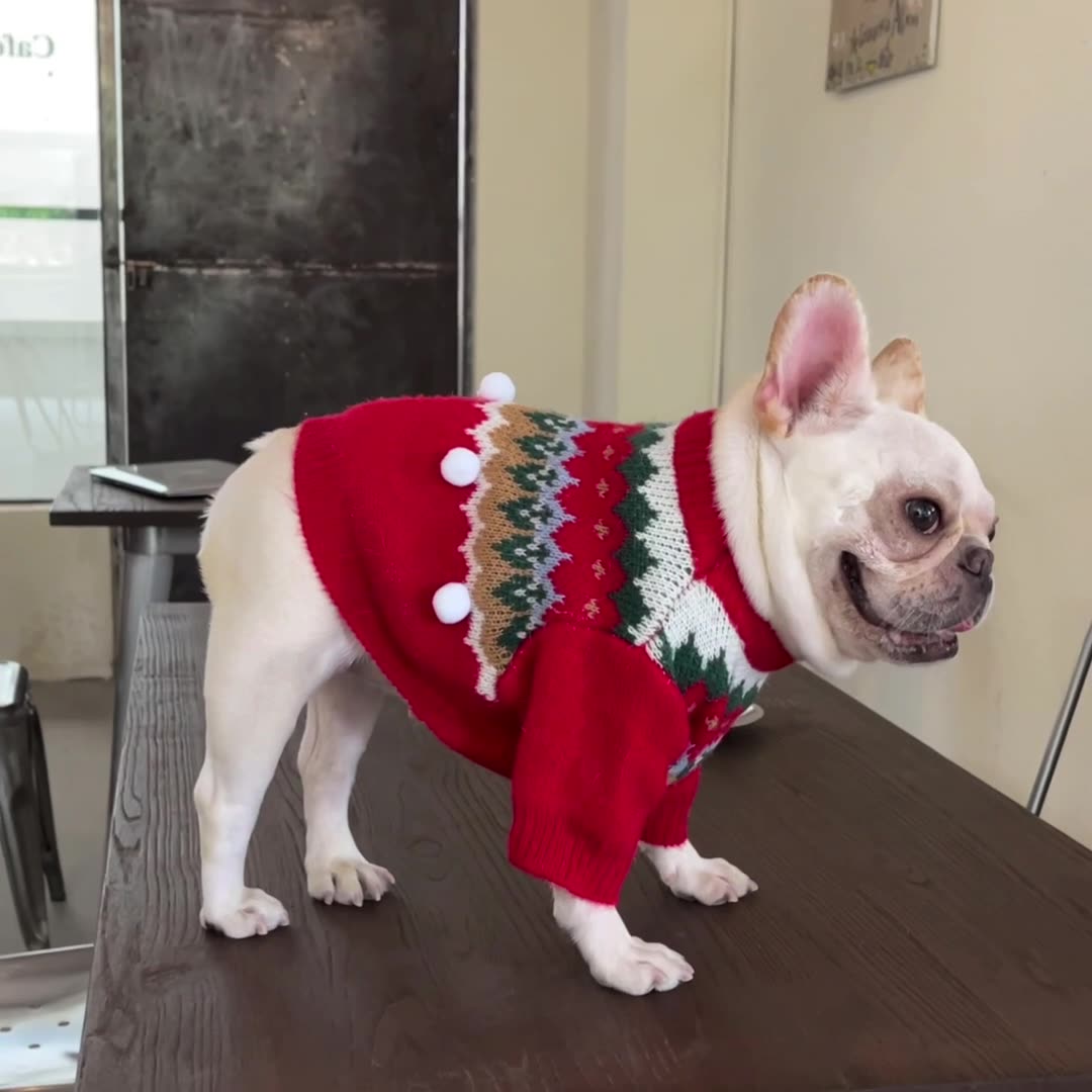 Festive Pet Christmas Sweater Cute Holiday Design