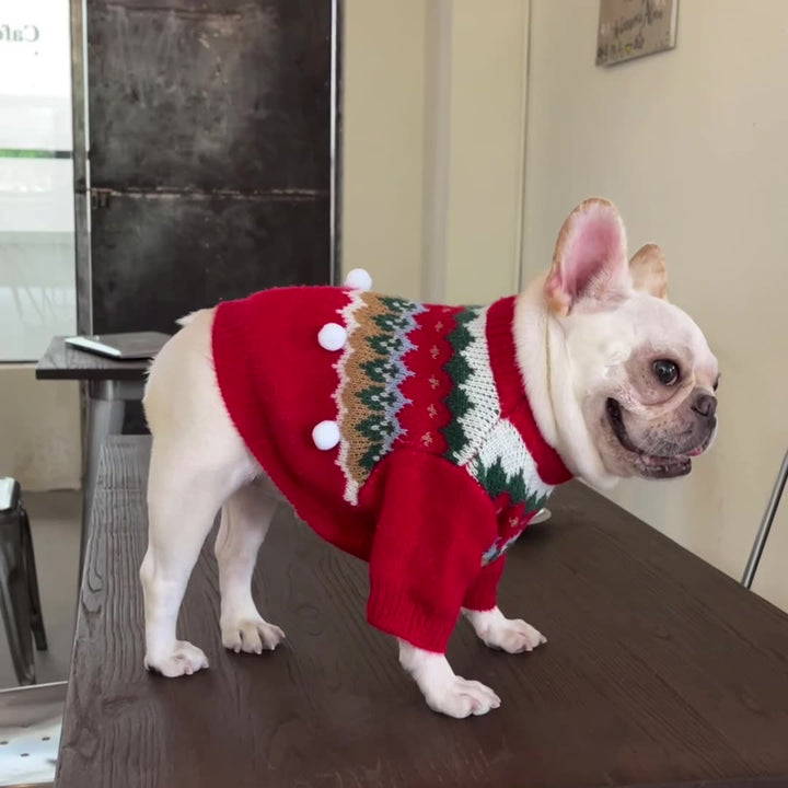 Festive Pet Christmas Sweater Cute Holiday Design