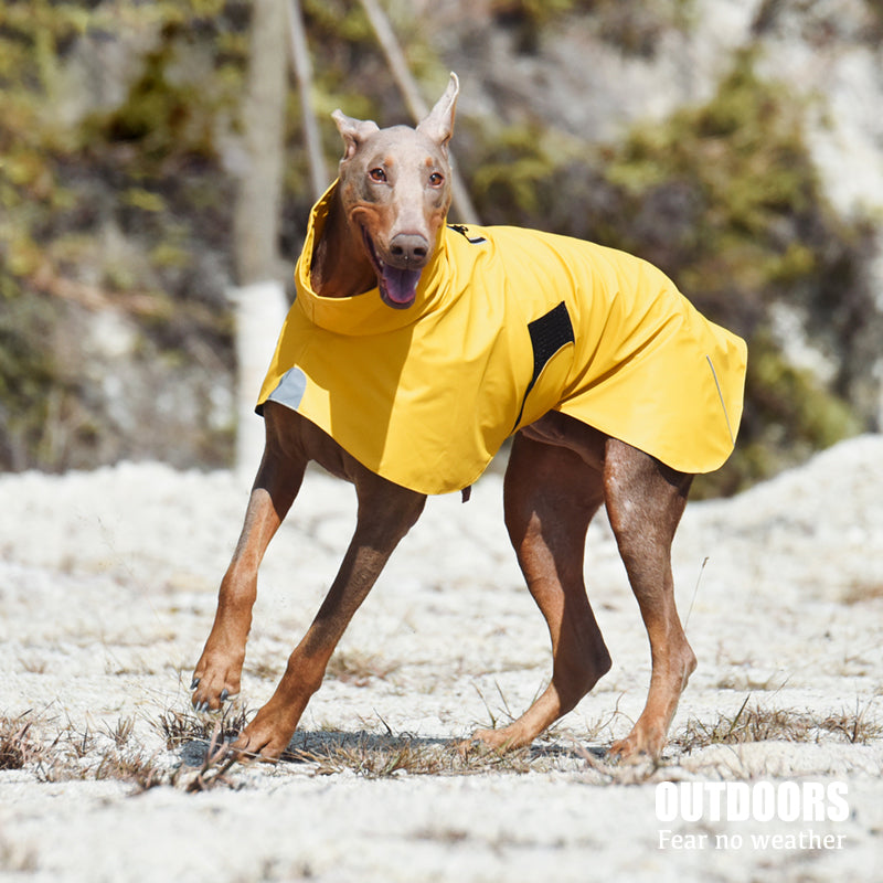 Waterproof Windproof Pet Shell Jacket Outdoor Raincoat