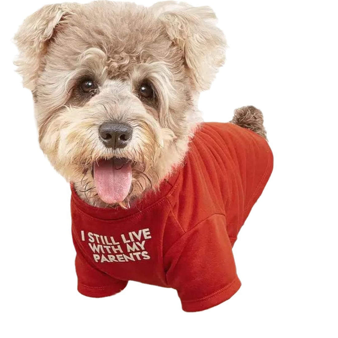 Round Neck Pet T Shirt Casual Comfortable Wear