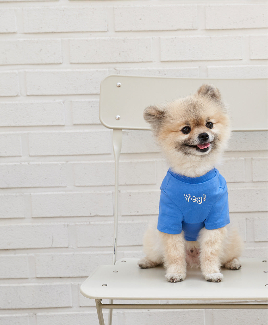 Korean Style Cotton Printed Short Sleeve Pet T-Shirt
