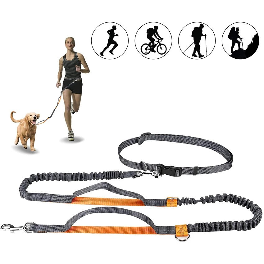 Adjustable Pet Harness And Leash Set Jogging Walking Gear