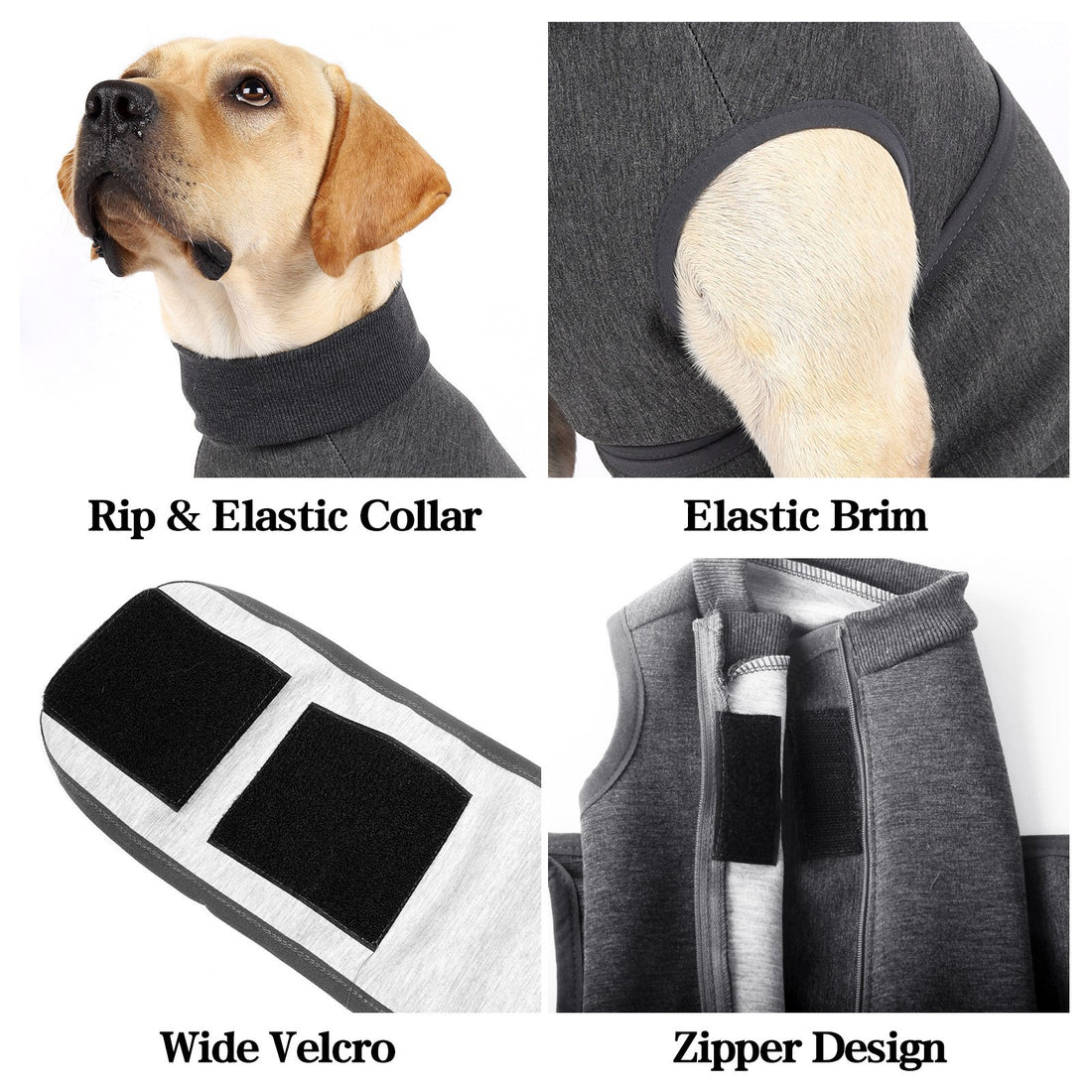 Polyester Comfort Cotton Double Layer Pet Jacket