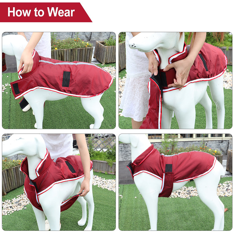 Warm Waterproof Autumn Winter Pet Leisure Jacket