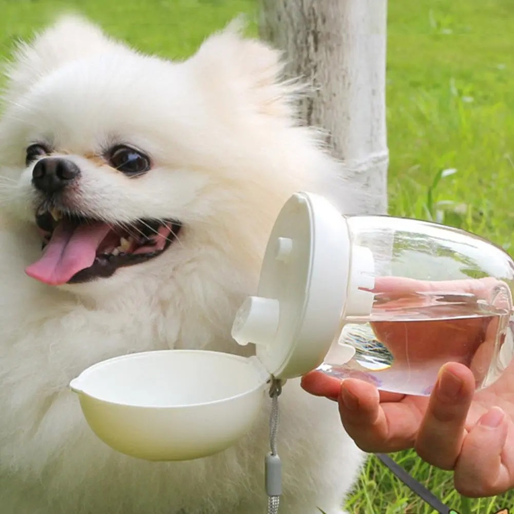 Portable Pet Water Bottle Travel Drinking Bowl With Lanyard