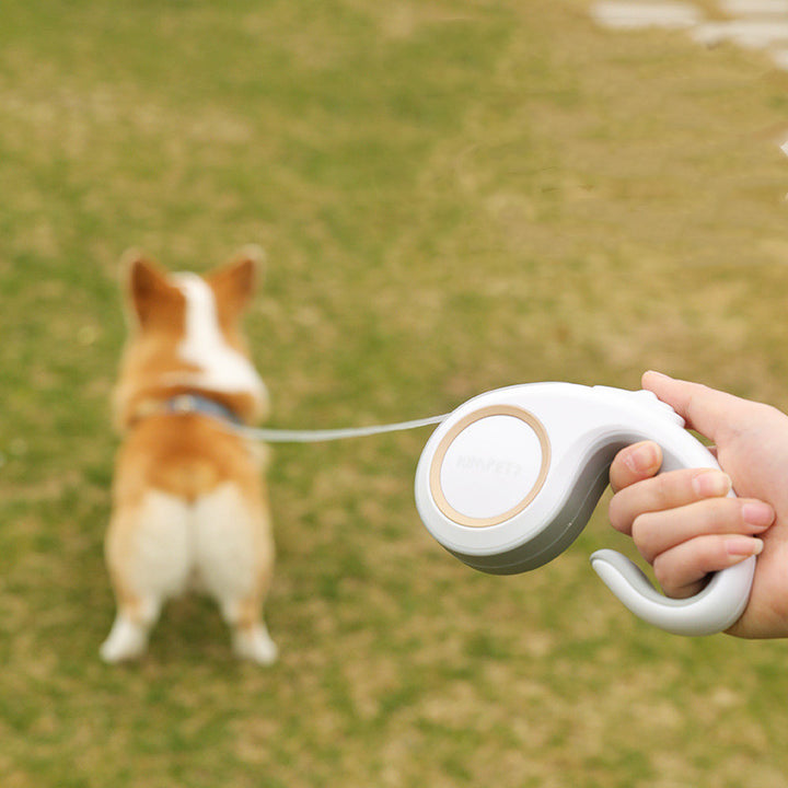 Automatic Retractable Pet Leash Durable Adjustable Walking Lead
