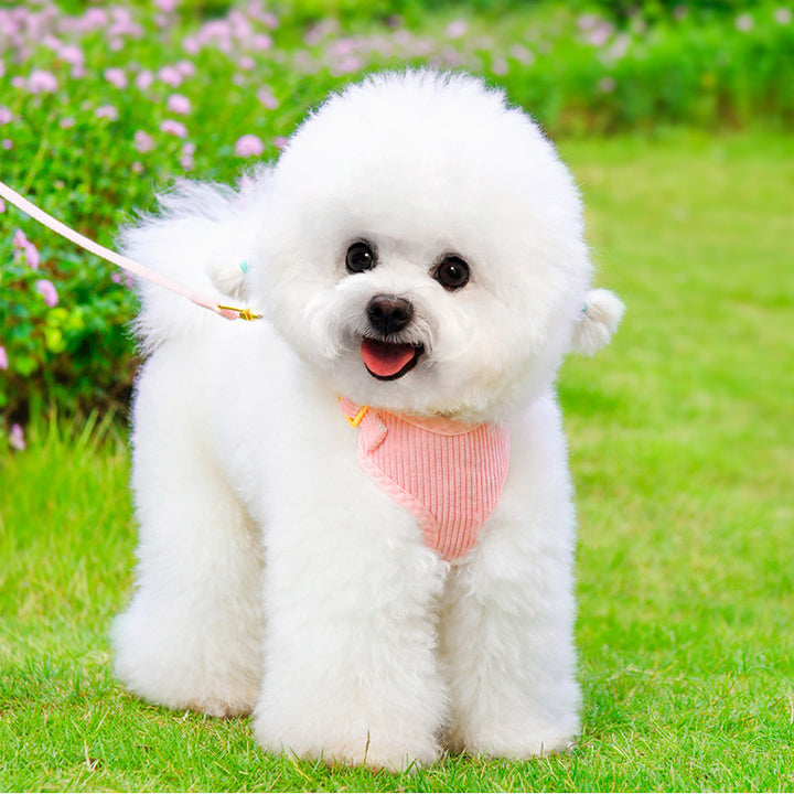 Pet Harness And Leash Set For Outdoor Use