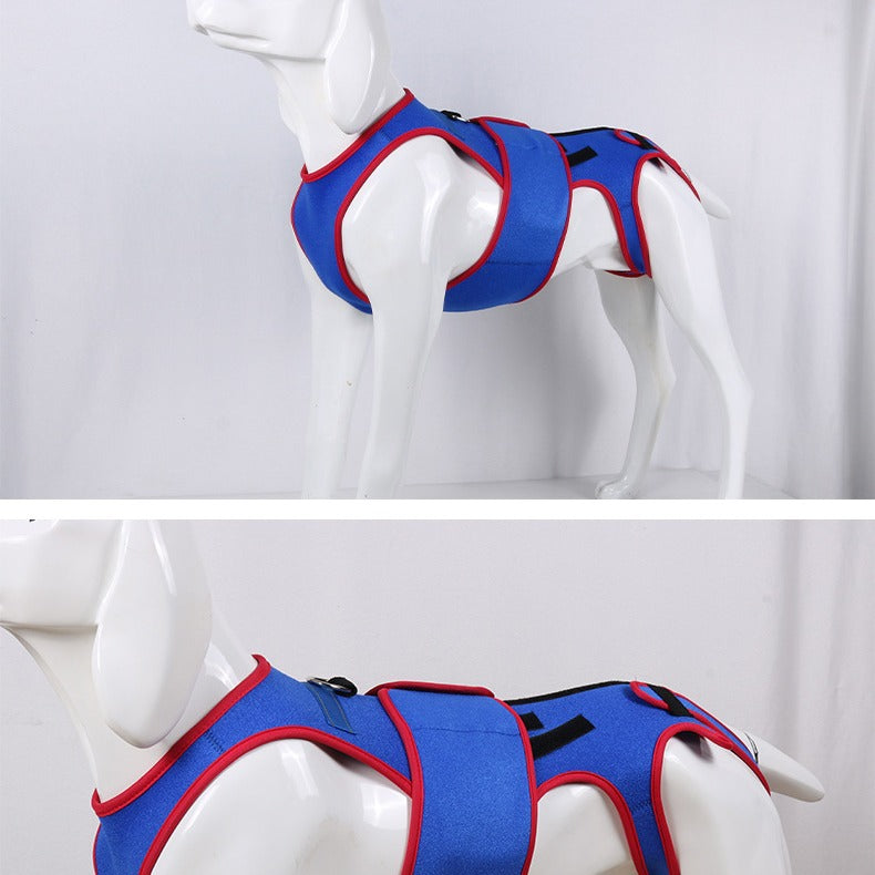 Pet Spine Support Jacket For Posture Correction Comfort