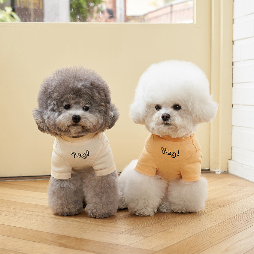 Korean Style Cotton Printed Short Sleeve Pet T-Shirt