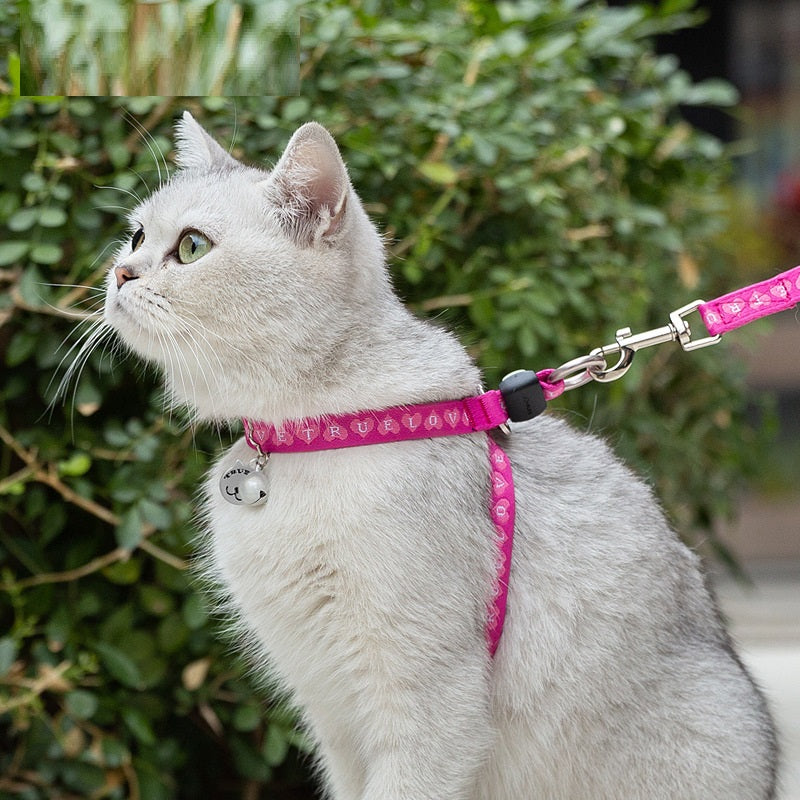 Pet Bell Chest Strap Vest Leash Rope Harness