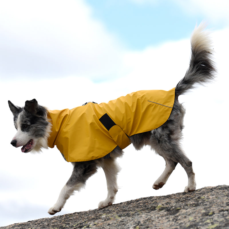 Waterproof Windproof Pet Shell Jacket Outdoor Raincoat