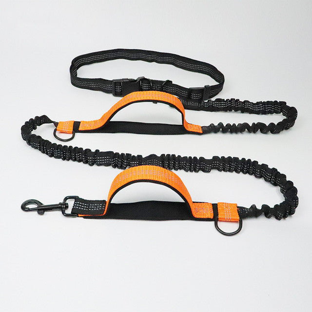 Adjustable Pet Harness And Leash Set Jogging Walking Gear