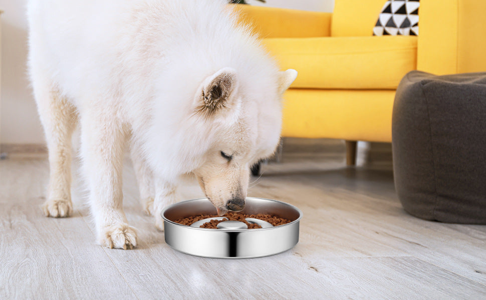 Stainless Steel Pet Slow Feeding Bowl Neck Protector Design