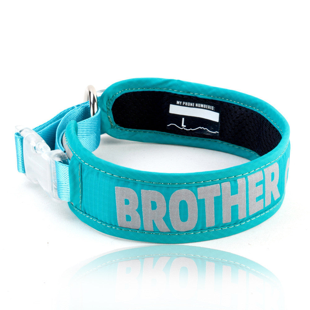 Explosion Proof Chest Strap Storage Pet Leash Bag
